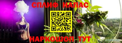 мдпв Новодвинск