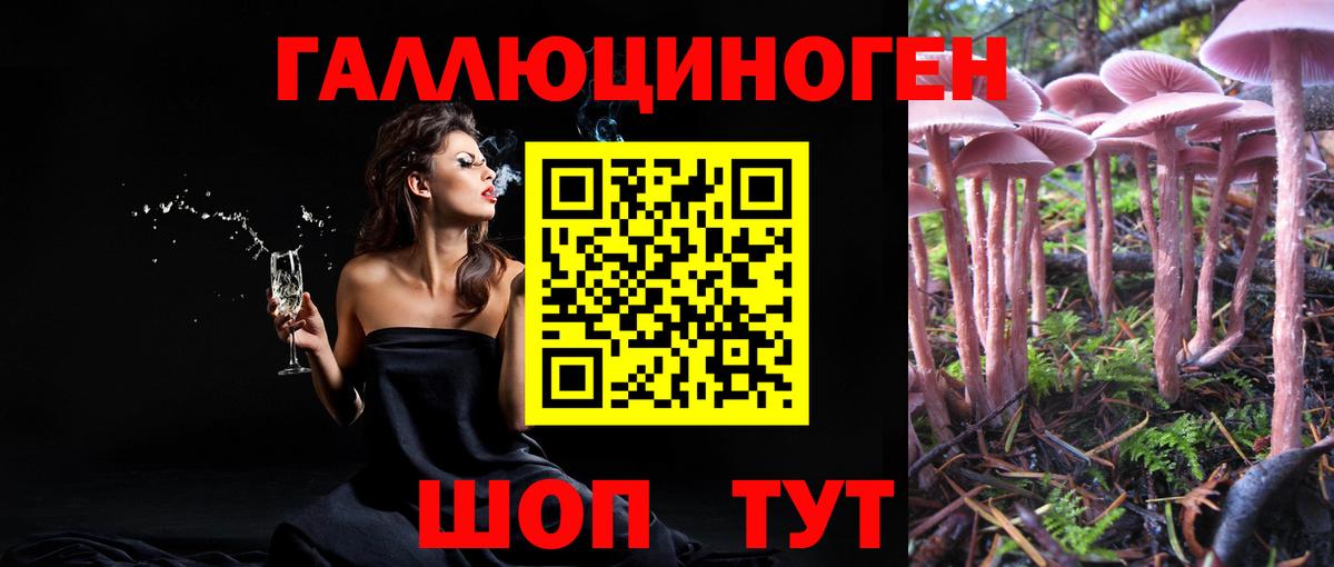 Галлюциногенные грибы Psilocybine cubensis  где можно купить   Псилоцибиновые грибы Cubensis  Сергиев Посад  Вход с VPN 